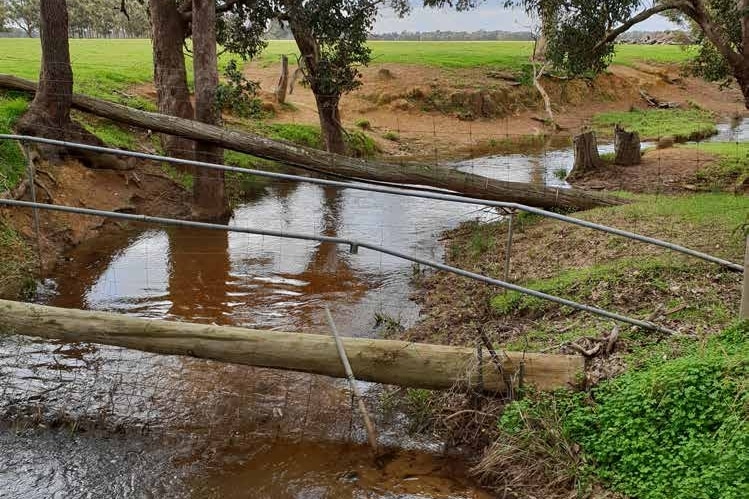 A small creek runs through a green paddock.