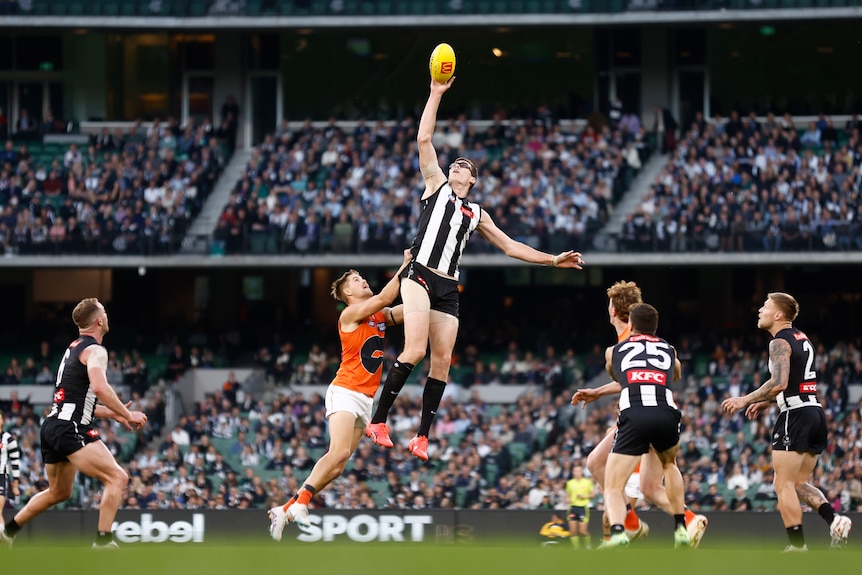 Collingwood's Mason Cox leaps high and takes the ball in one hand at a contest as players stand around.