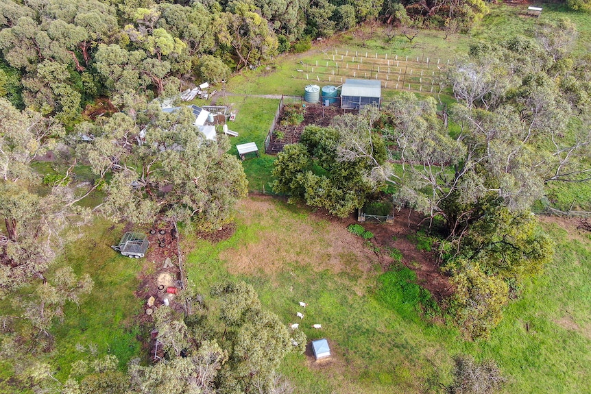 An aerial view of the bush