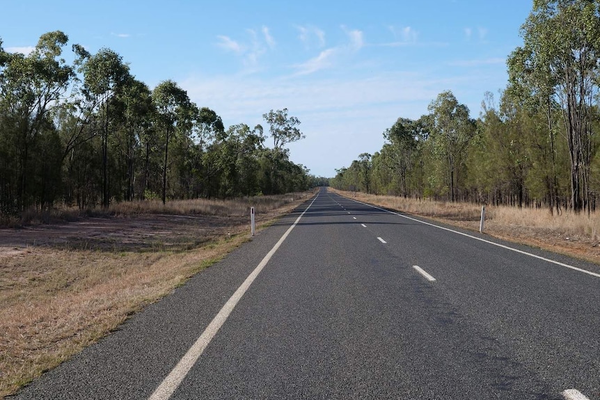 A stretch of bitumen in central Queensland with nothing but light timber on each side.