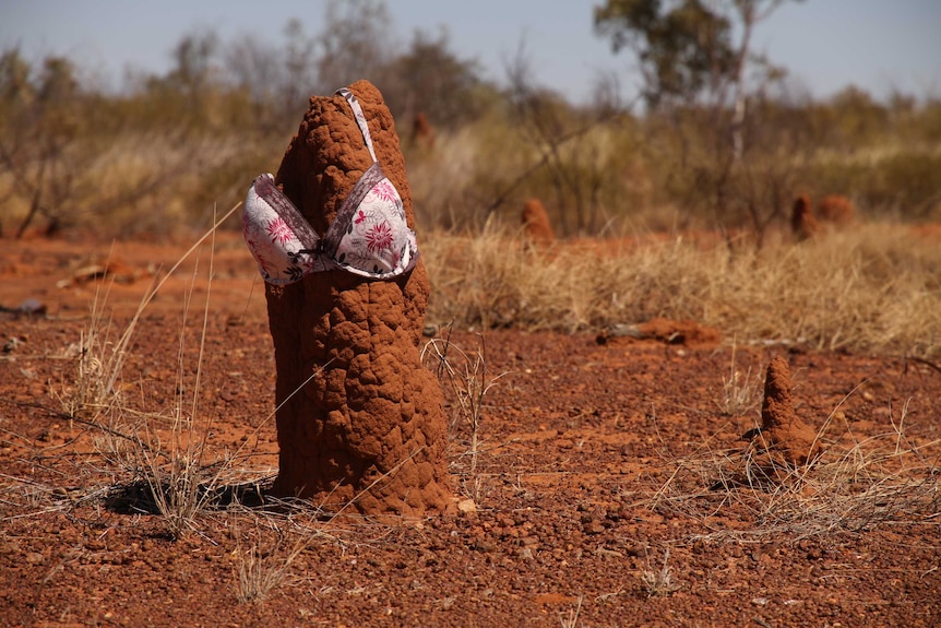 Dressed-up termite mounds are growing in number along the Northern Territory's Stuart Highway