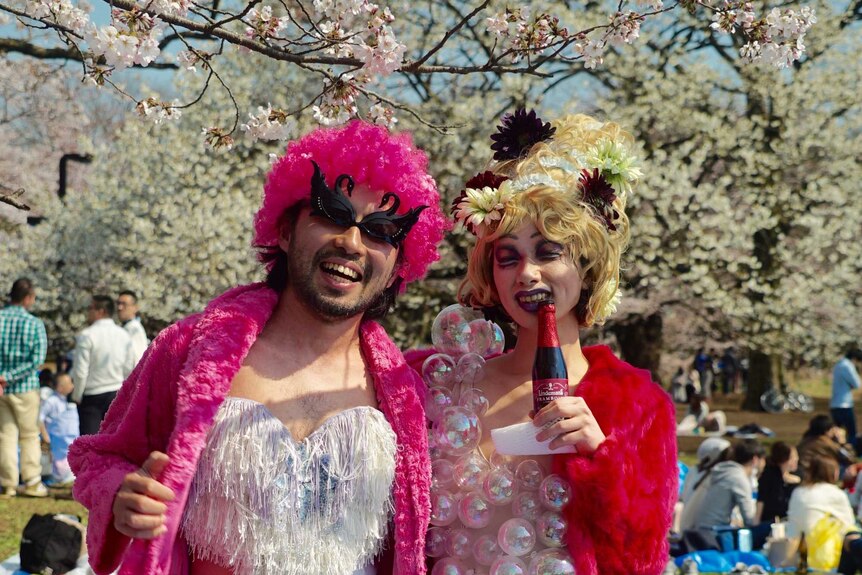 Two people in fancy dress at a picnic under the cherry blossom trees