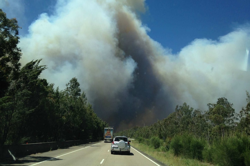 A bushfire in the distance