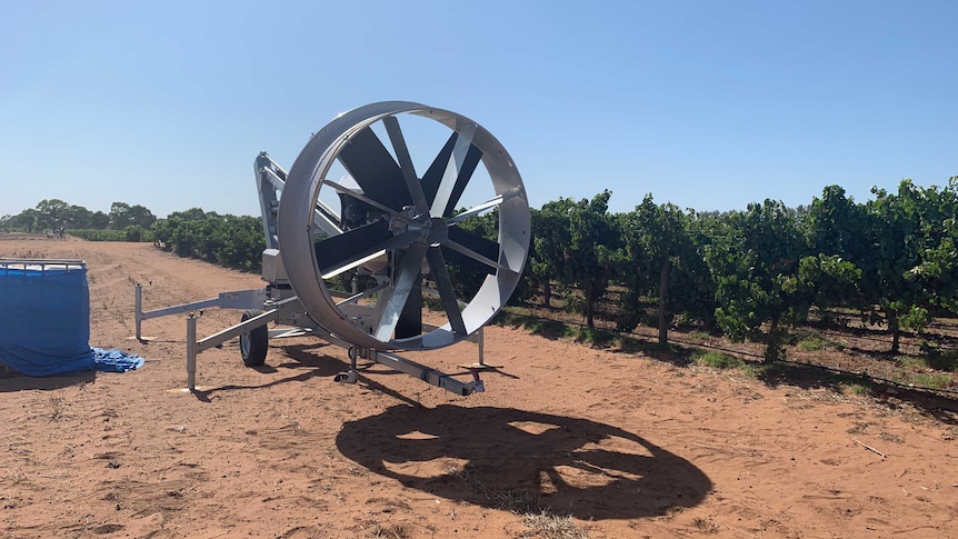 An industrial fan set up next to a vineyard