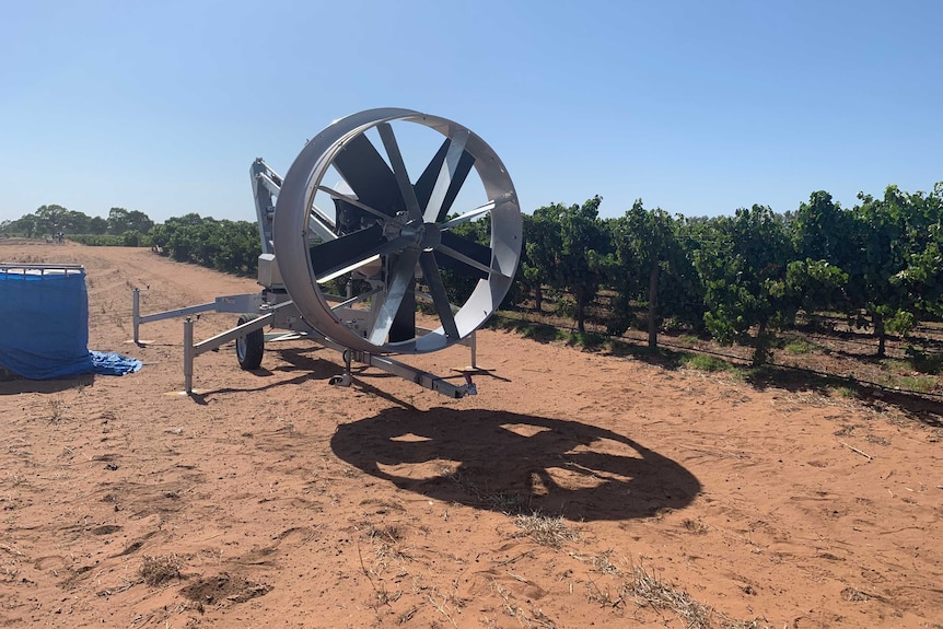 An industrial fan set up next to a vineyard