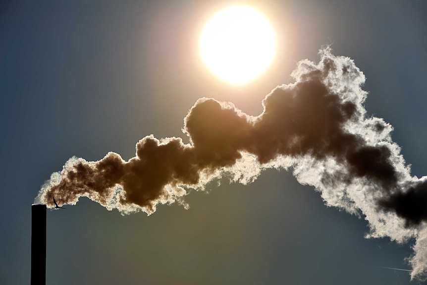 Smoke rises from a chimney