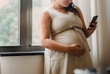 Pregnant woman looking at mobile phone