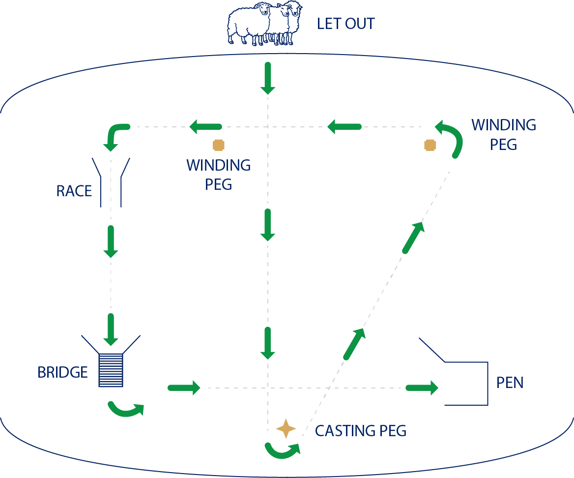 Graphic illustrating top-down view of obstacle course
