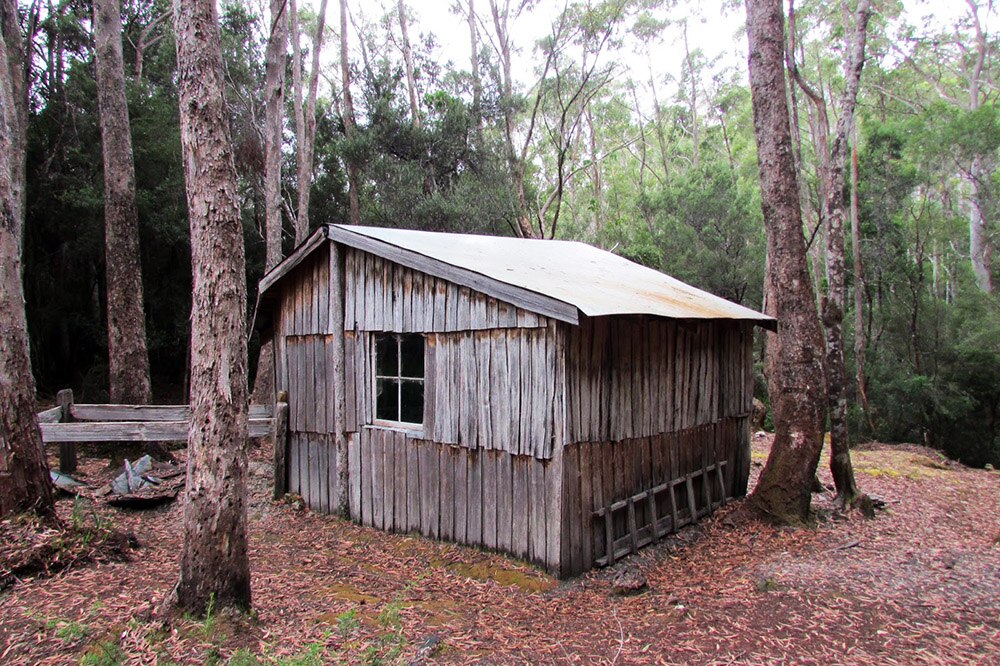 Tasmanian tiger capture site Churchill's Hut at risk from wilderness