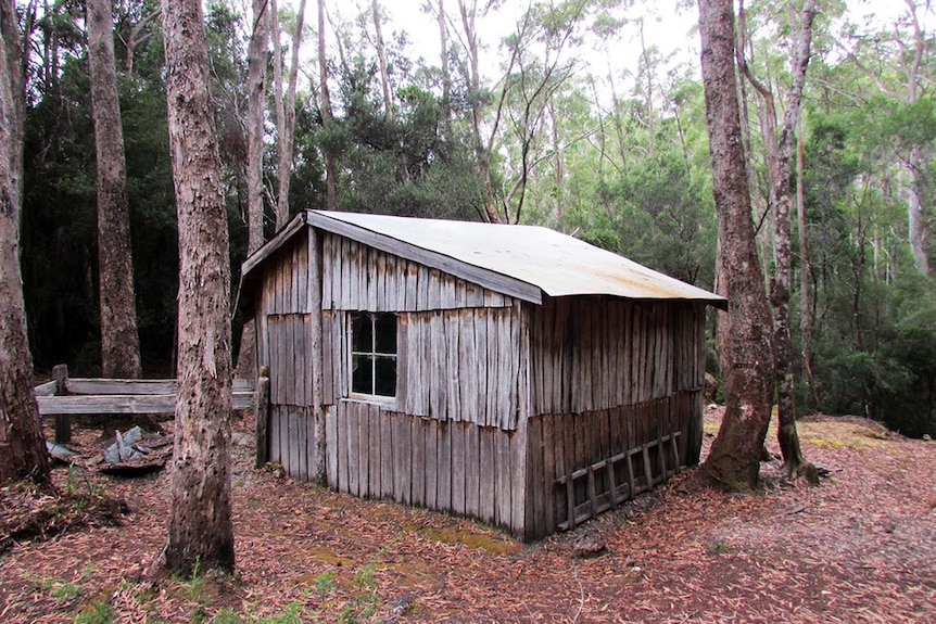 A timber trapper's hut in Tasmania's south-west