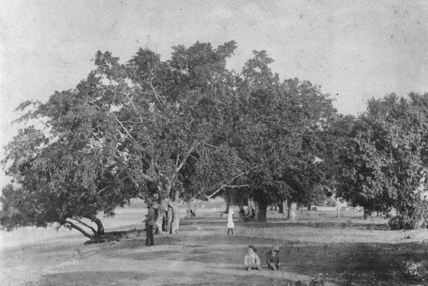 People walk beside the sandy beach on the Cairns Esplanade in about 1890.