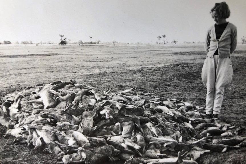 A black and white image of a girl standing in a paddock beside a mound of dead rabbits.