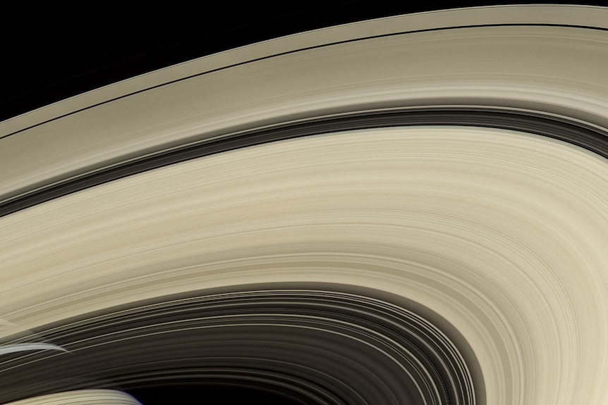 Zbliżenie beżowych pierścieni Saturna na czarnym tle.