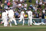 New Zealand celebrates with a bowler running towards the wicketkeeper who is lying down, as the dismissed batsman walks off.