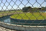 Caulfield horse training pool