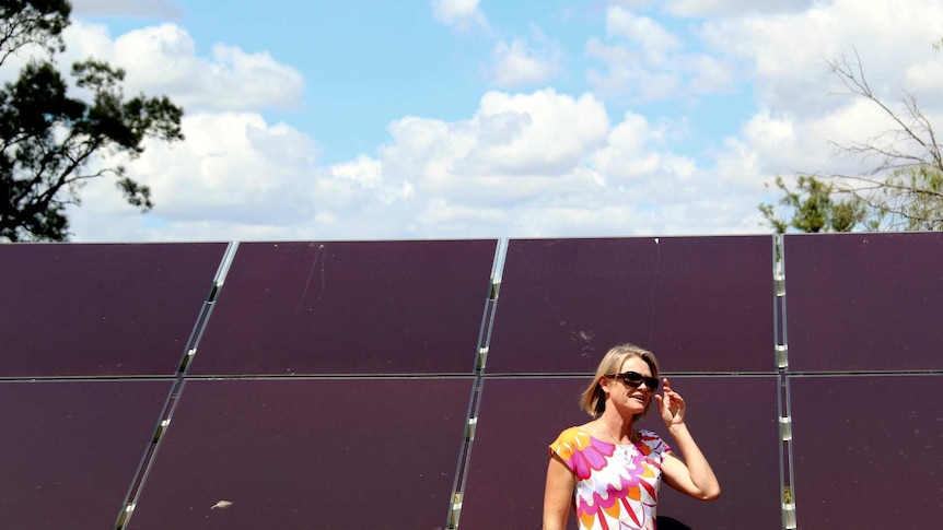 Solar panel in Moree, NSW