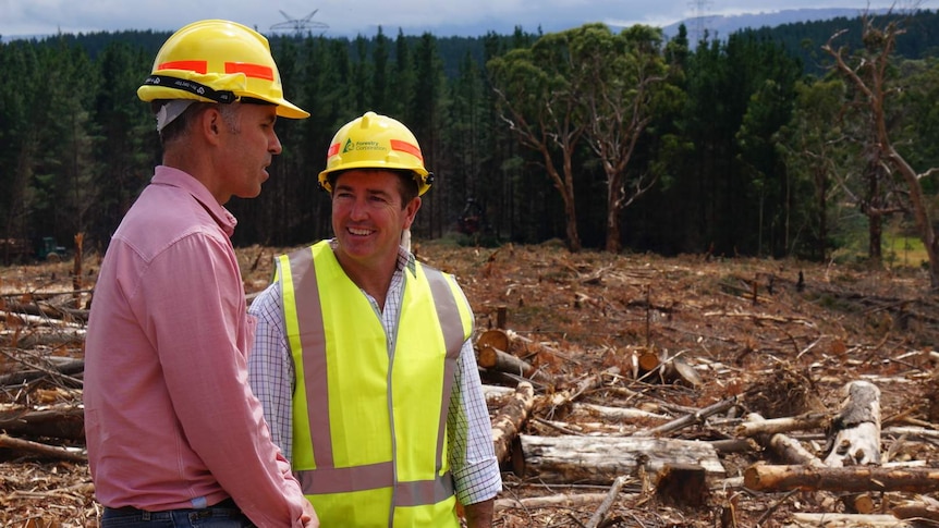 Paul Toole at softwood plantation near Oberon