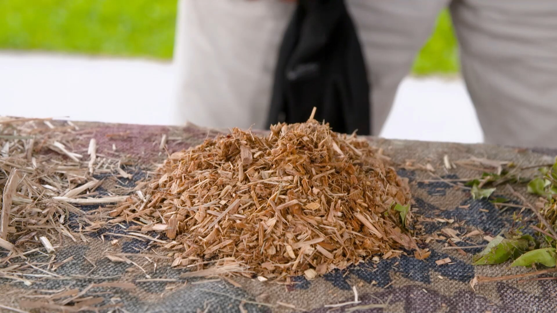 How to choose the right mulch for your garden ABC Everyday