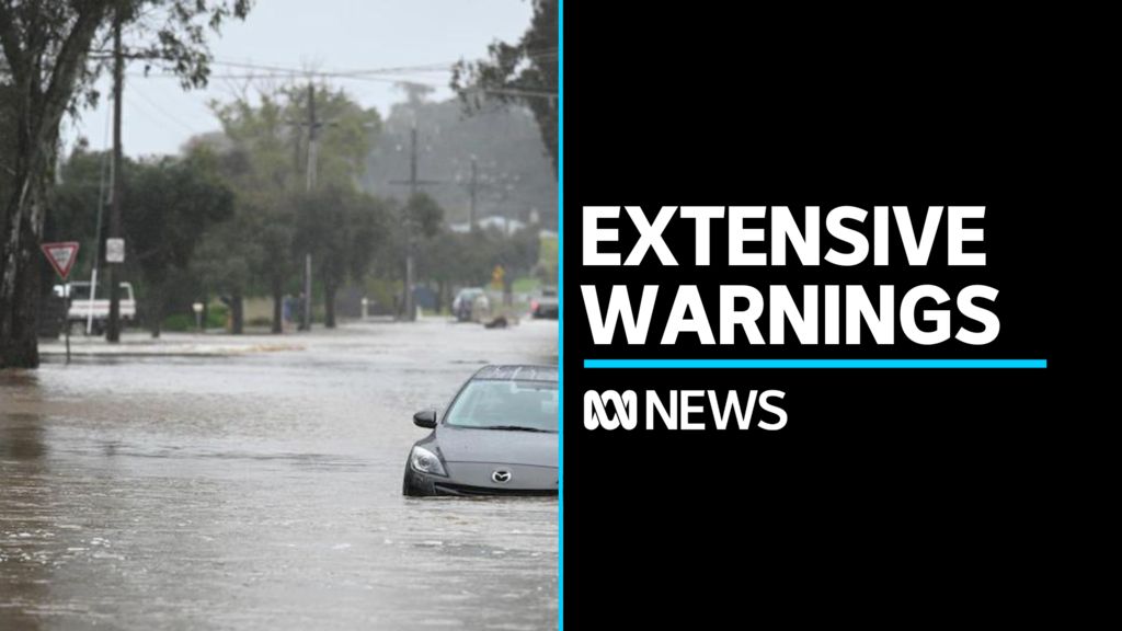 Flood warnings are covering significant part of New South Wales - ABC News