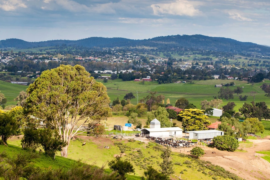 vue sur la vallée de Bega