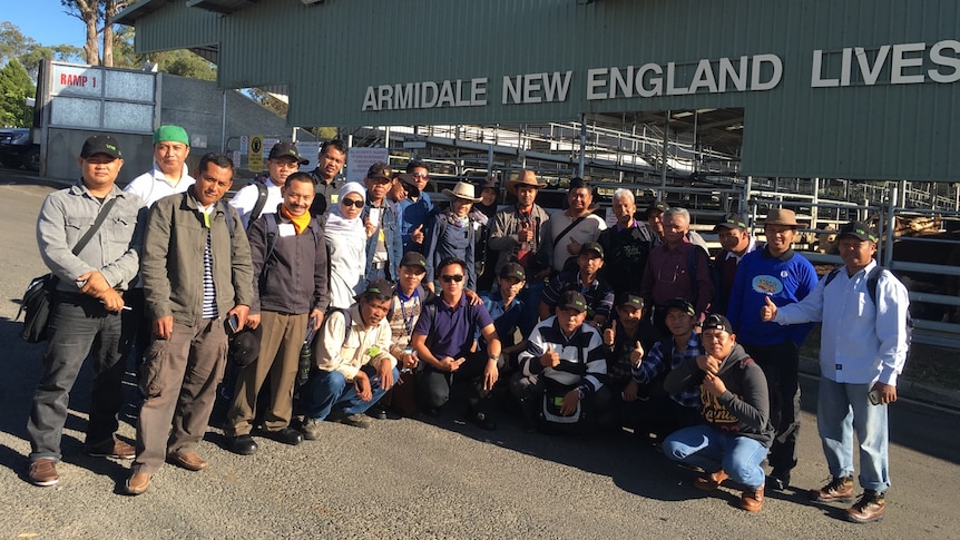 Thirty Indonesian beef sector workers pose out the front of the Armidale saleyards in NSW