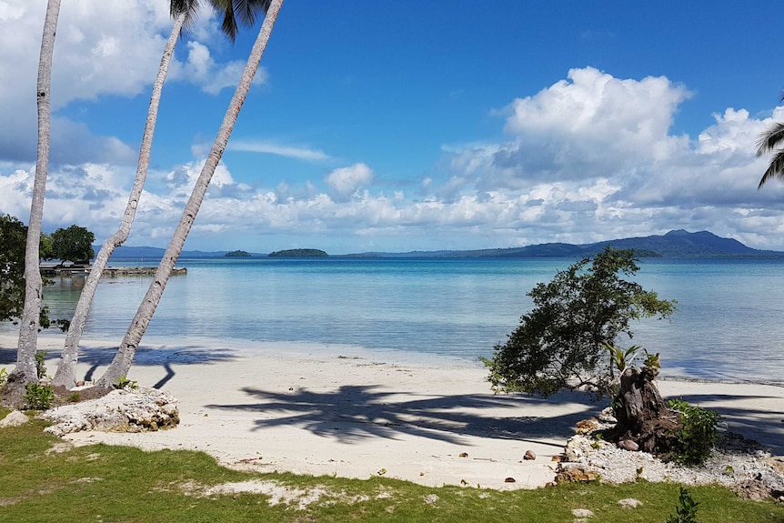 Palm trees tower over the white sands and clear waters of Solomon Islands.