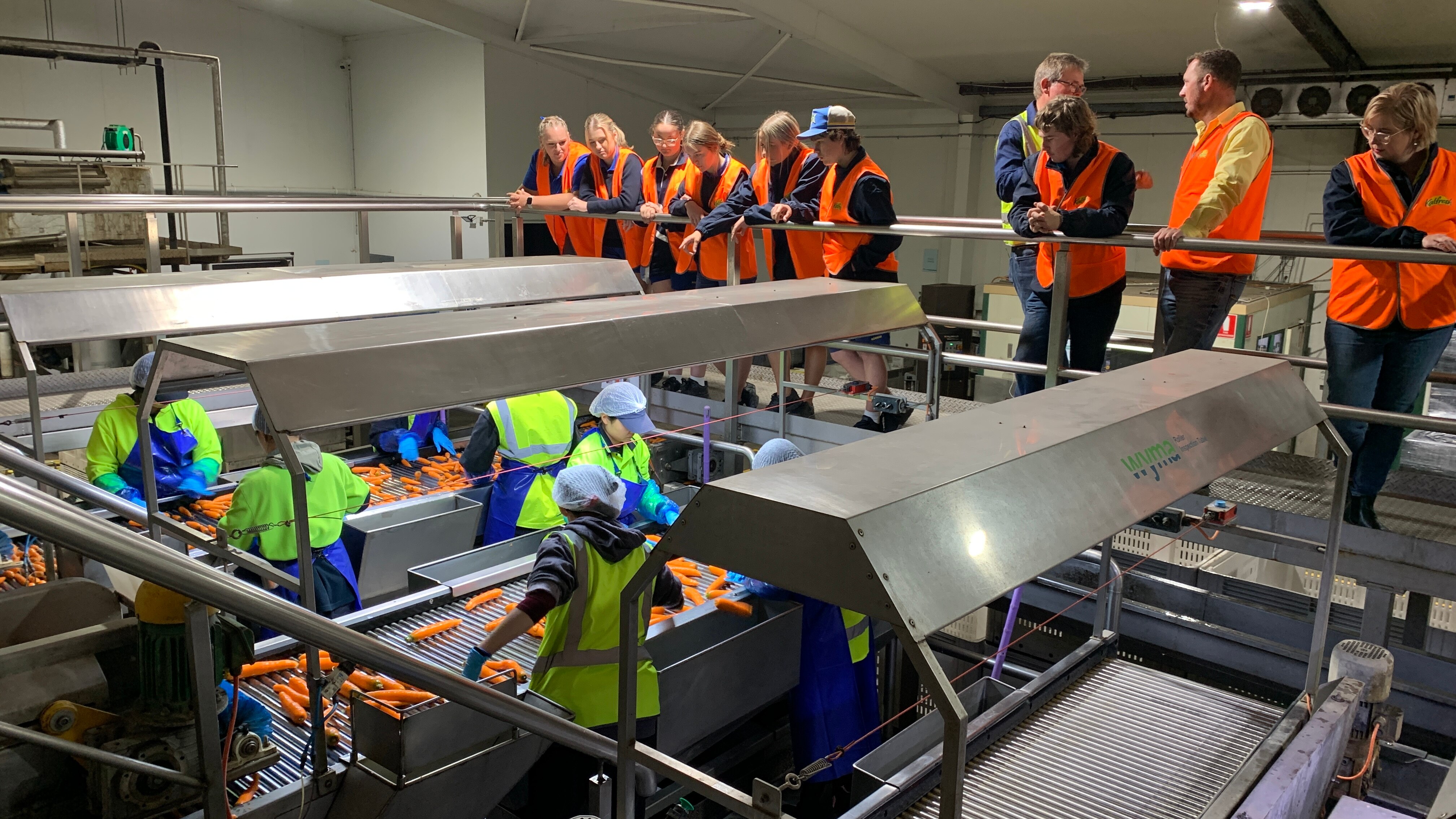Los estudiantes de Boonah visitan el negocio rural local de hortalizas Kalfresh.