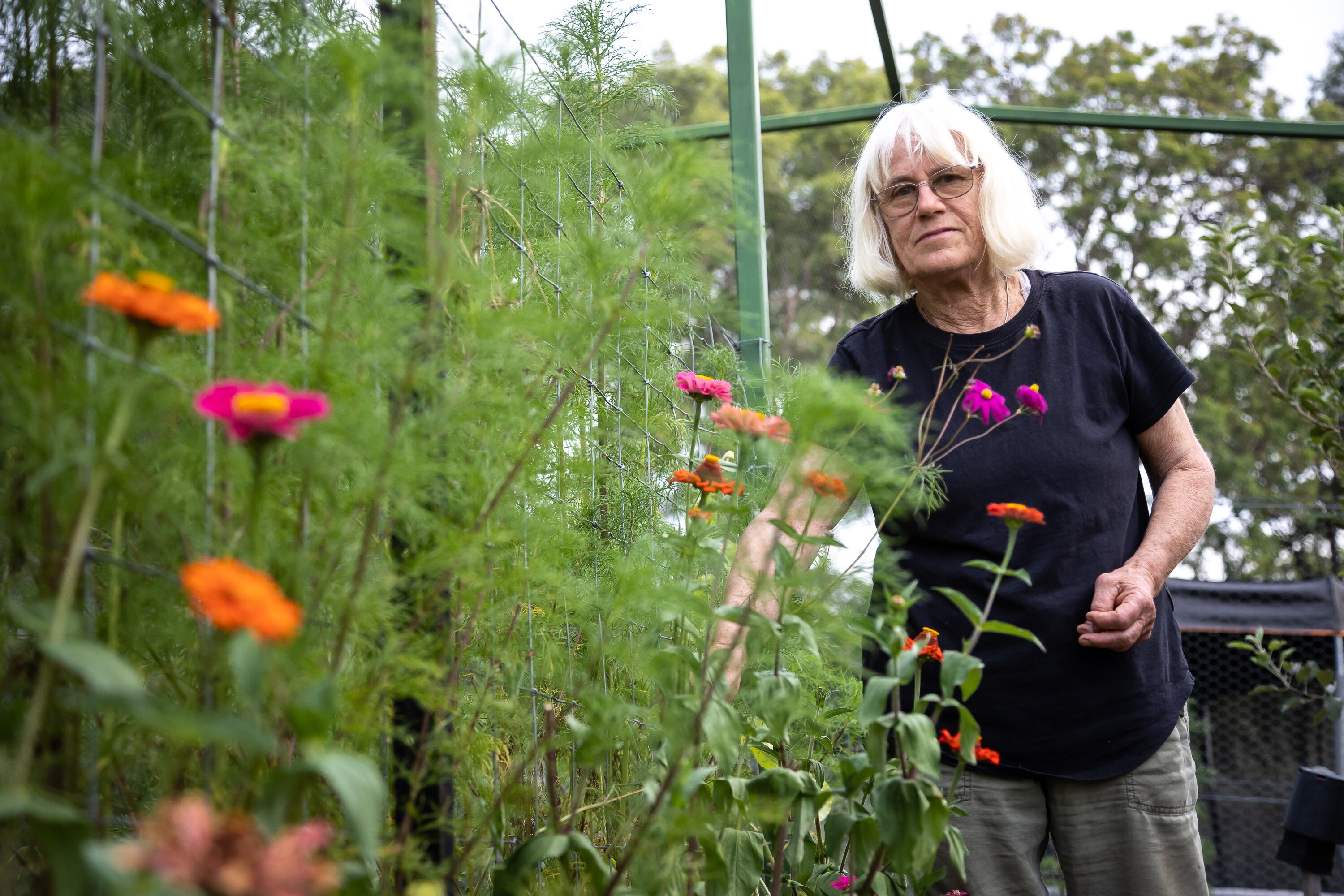 A woman tends to her garden on a sunny day.