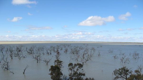 Murray-Darling caps unnecessary, says water authority