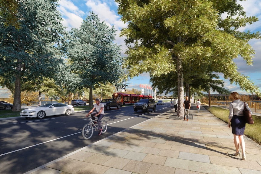 An artists impression shows a light rail vehicle travelling down the middle of Commonwealth Avenue, cars on either side.