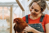 Woman in red shirt and overalls smiles while holding chicken for story about whether healthy, happy chickens are better for you