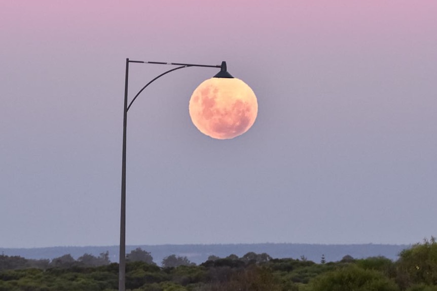 The full moon positioned under a street lamp.