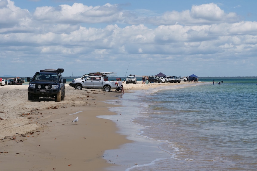 Utes parked along shoreline.