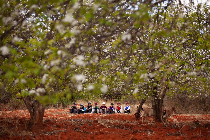 Colour still of eight women, dressed in traditional Bai garb, sitting amongst trees and drawing in documentary Up the Mountain.