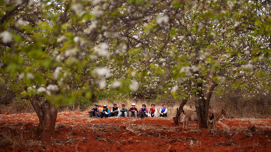 Colour still of eight women, dressed in traditional Bai garb, sitting amongst trees and drawing in documentary Up the Mountain.