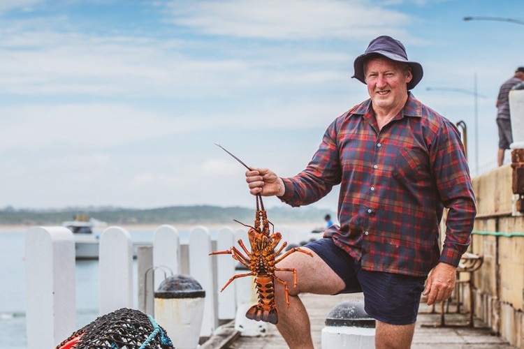 A man standing on a jetty holding a rock lobster. 