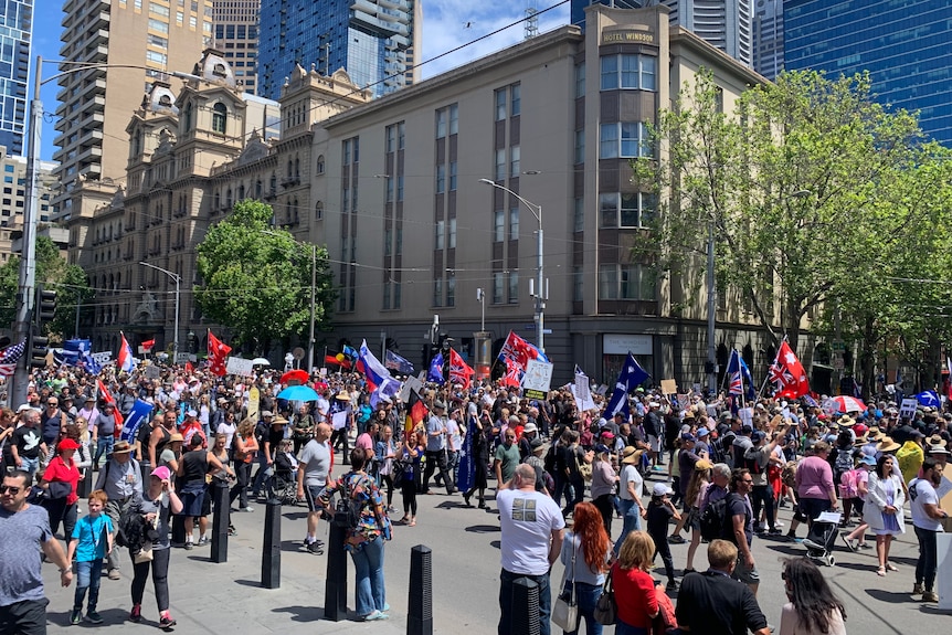 A crowd of people, many of whom are waving Australian flags and placards.