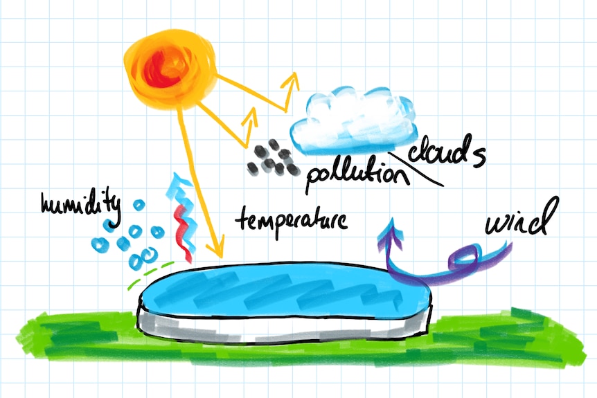 An illustration of water, grass, sun and clouds.