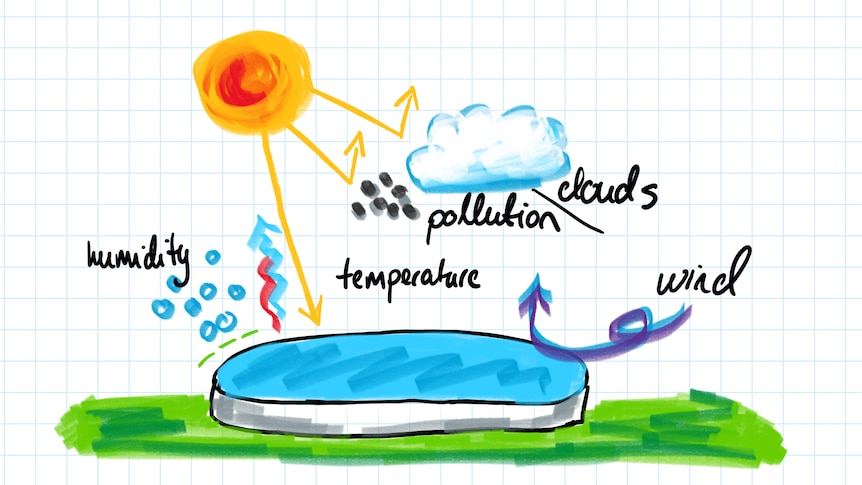 An illustration of water, grass, sun and clouds.