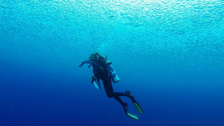 Aston Gainsford scuba diving underwater.