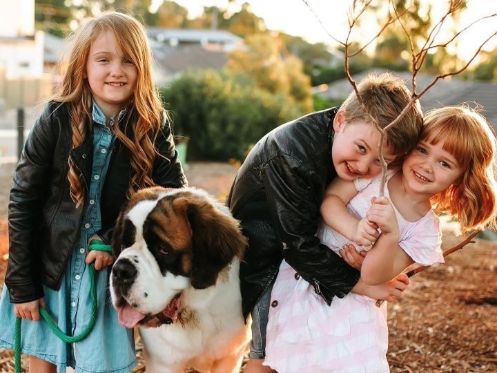 Three children with a large dog