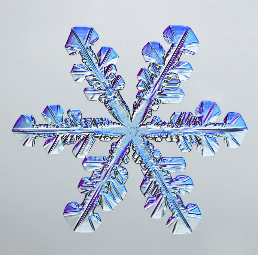 A single snow flake against a light backdrop, with the flake almost glowing with light blues and purples.