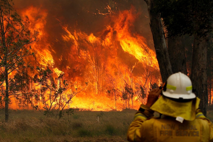 A firefighter watches as bushfires burn in Old Bar, New South Wales