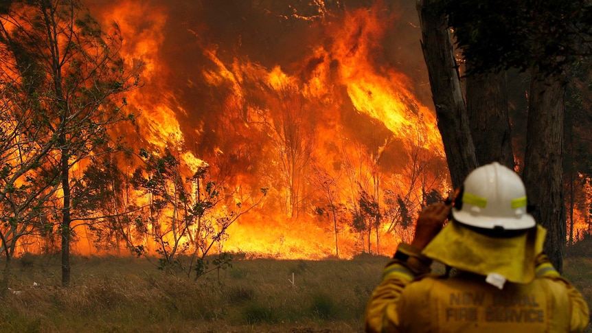 A firefighter watches as bushfires burn in Old Bar, New South Wales