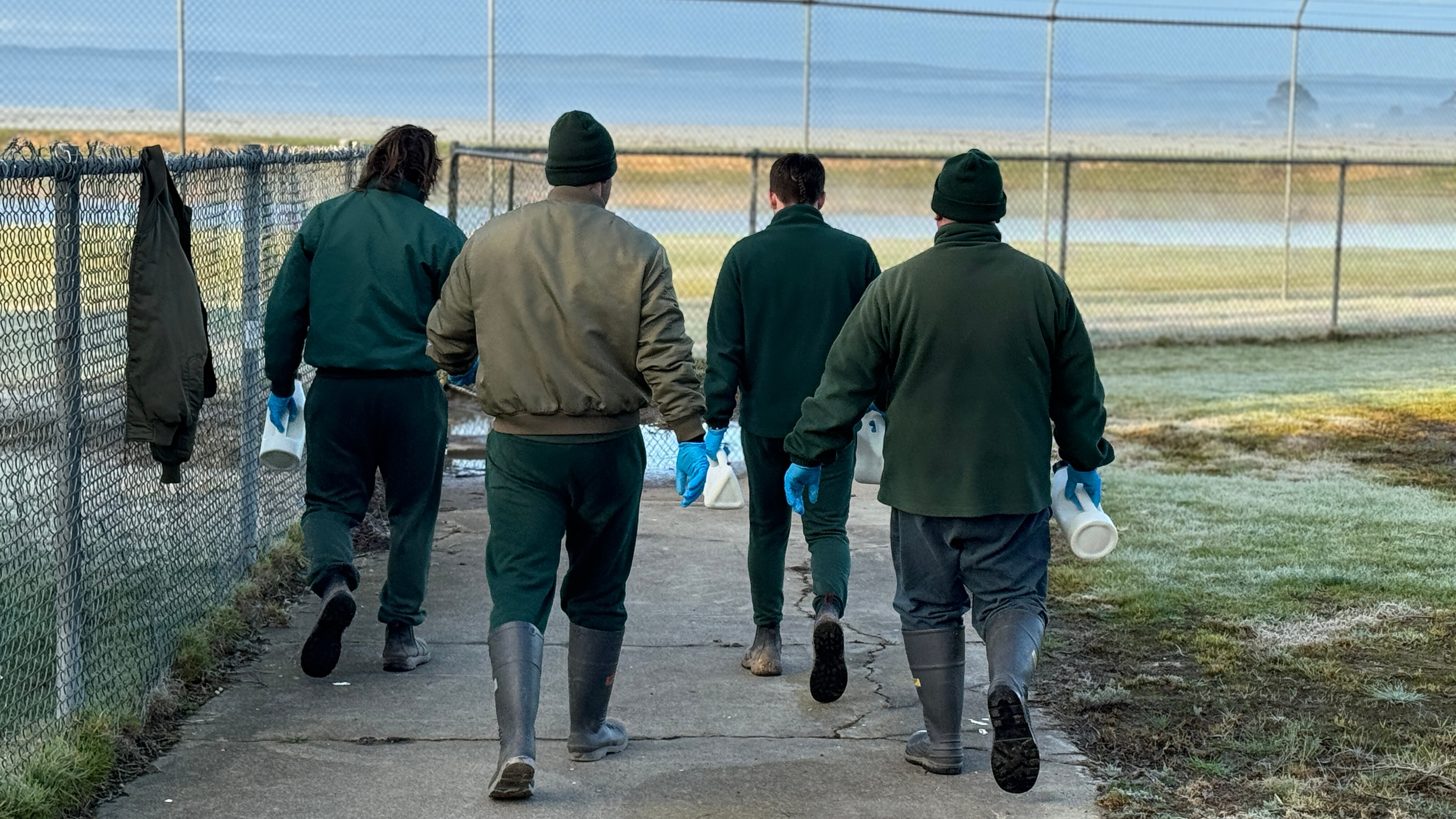 Four men walking with their backs to the camera.