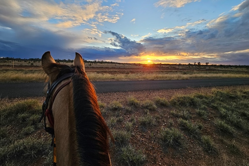 A horse's head and ears from behind looking into a sunset over an outback road.