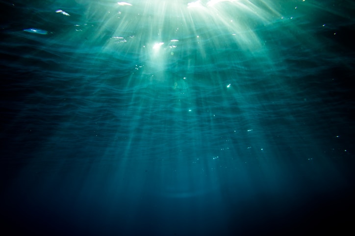 Water, Water: a story collection
