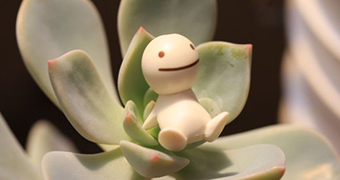 A figure of a happy man rests on a succulent plant.