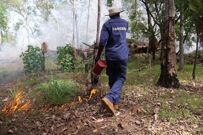 An indigenous ranger is using a fire lighter to leave a trail of flames in the bush behind him.