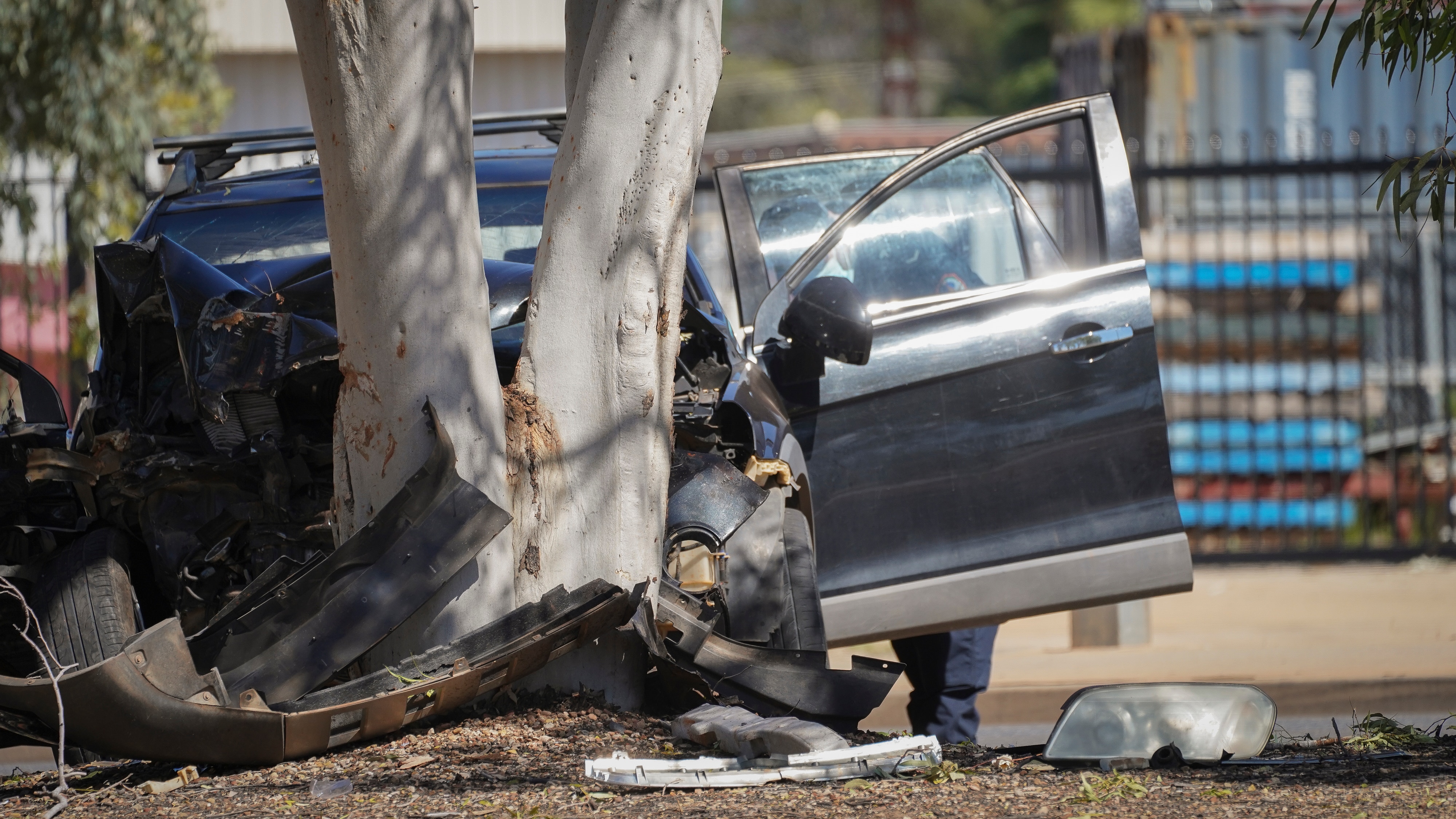 A car sits with its door open and the front end almost completely crushed against a tree.